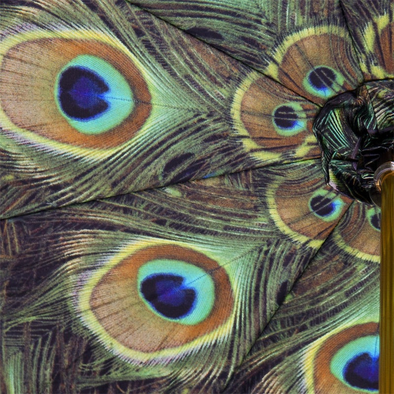 Black Umbrella with Peacock Interior Double Cloth - Umbrella