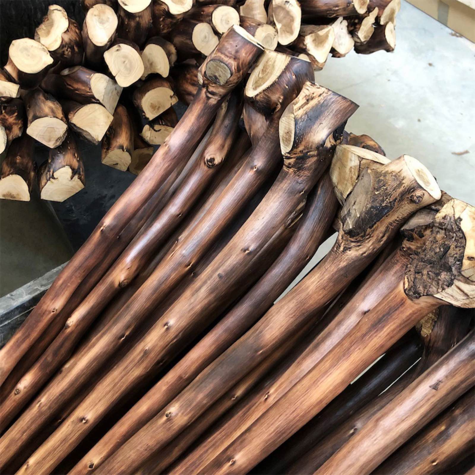 Chestnut Stick with Root Cane - Canes