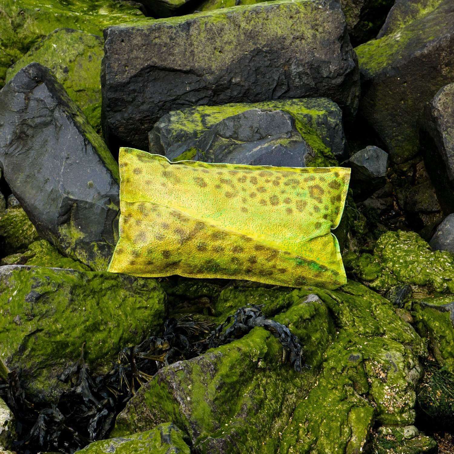 Fish Leather Pillow by Sierkussen Visleer