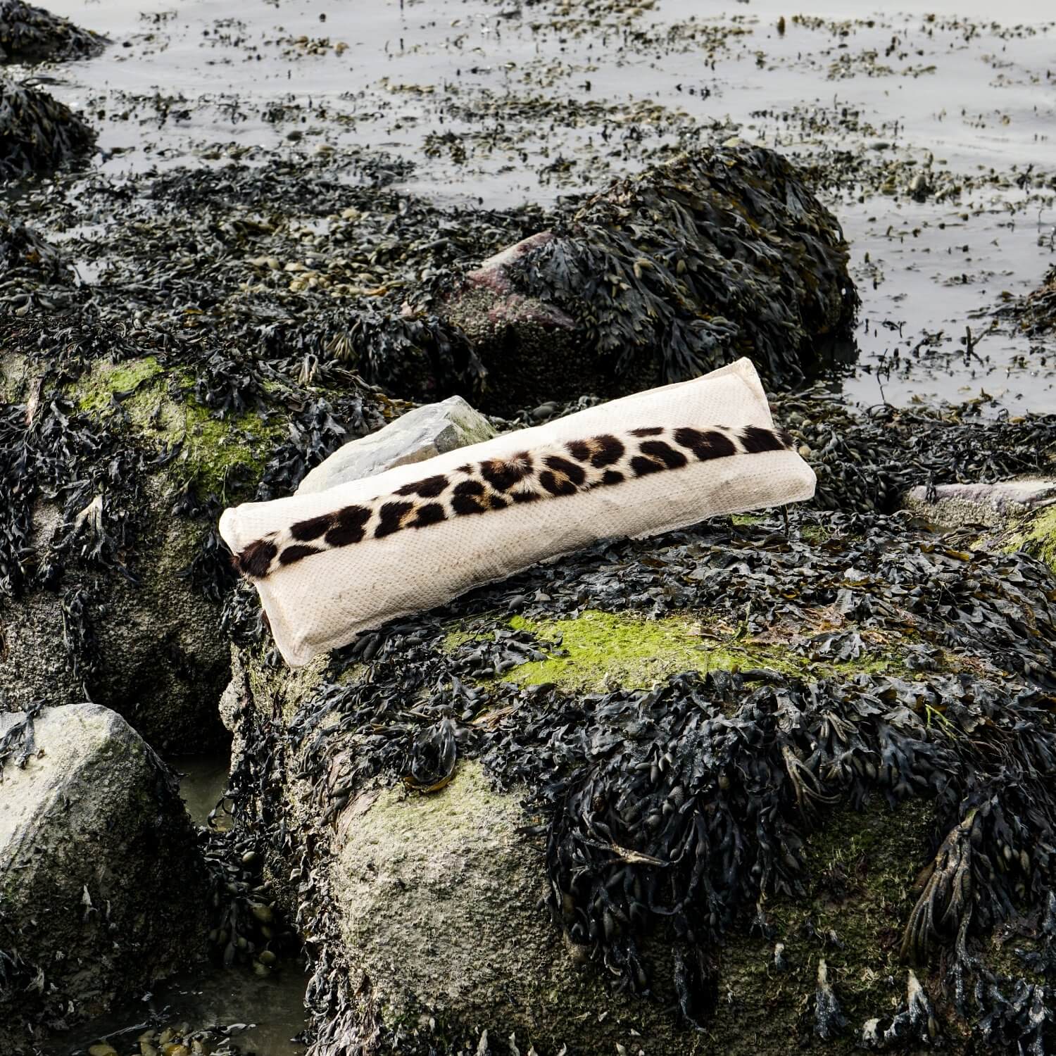 Fish Leather Pillow