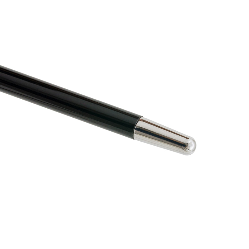 Curved Horn Stick Cane - Canes