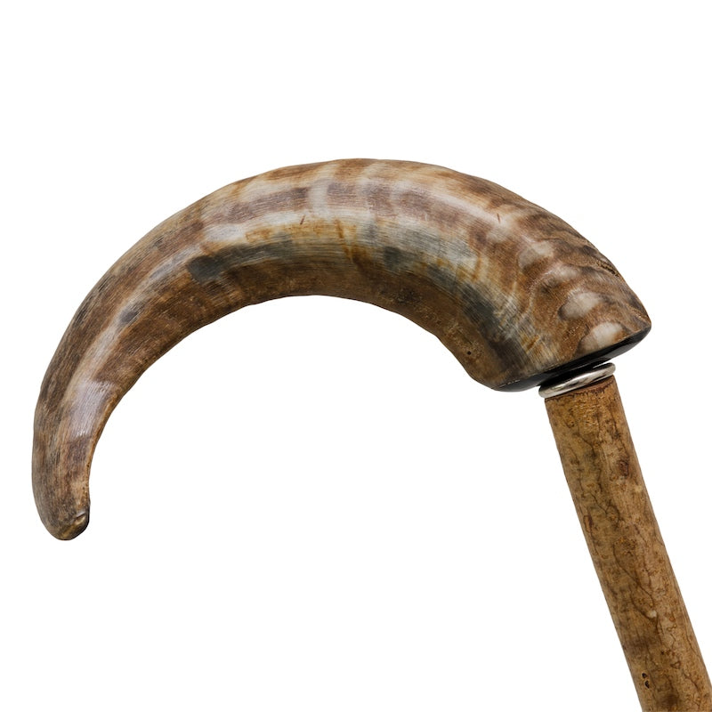 Mutton Horn Cane - Canes