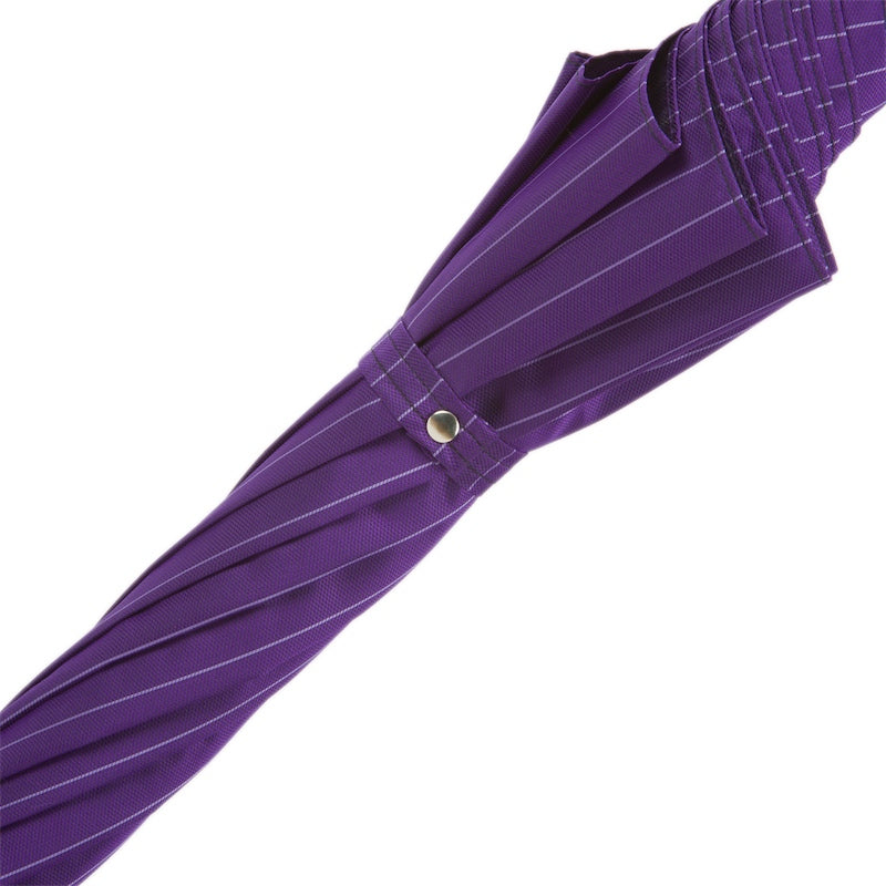 Purple Umbrella with Silver Lion Handle - Umbrella