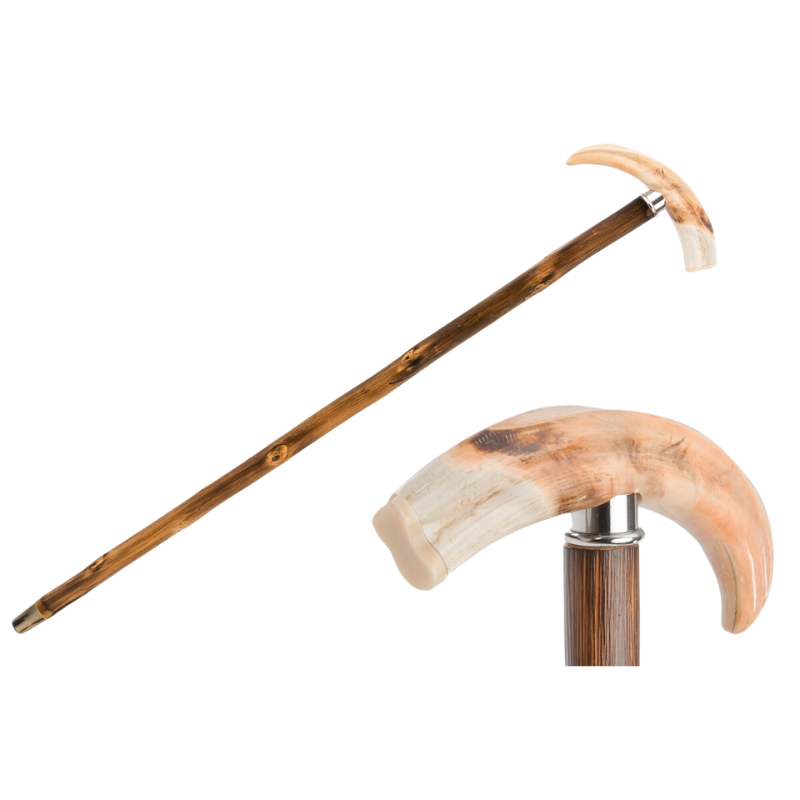 Warthog Tusk Cane - Canes