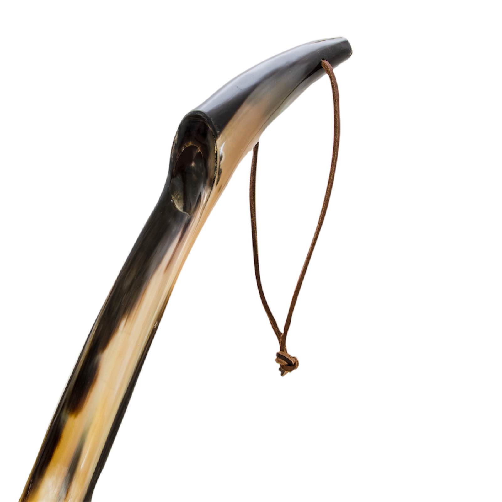 Water Buffalo Horn Shoehorn