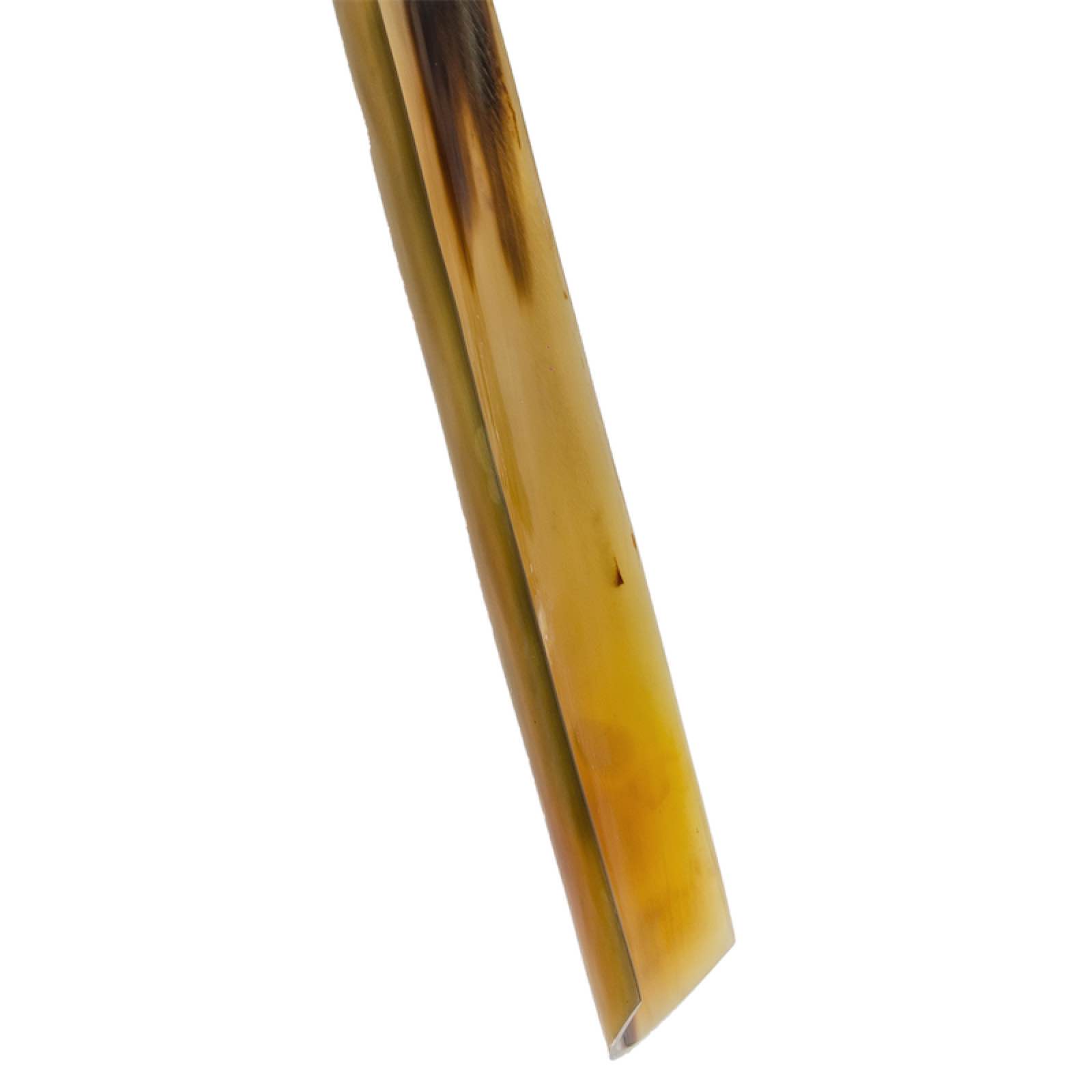 Water Buffalo Horn Shoehorn