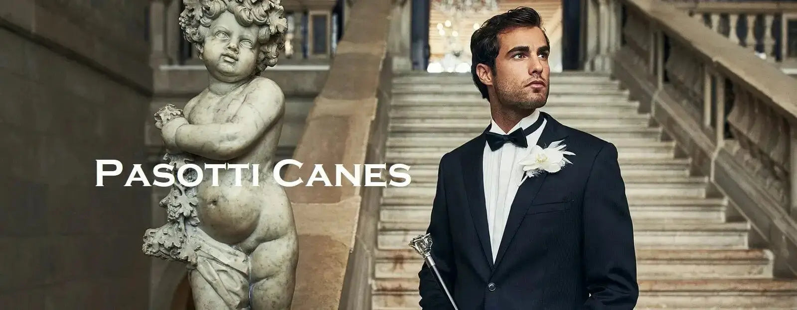 Pasotti Canes - Wonders of Luxury