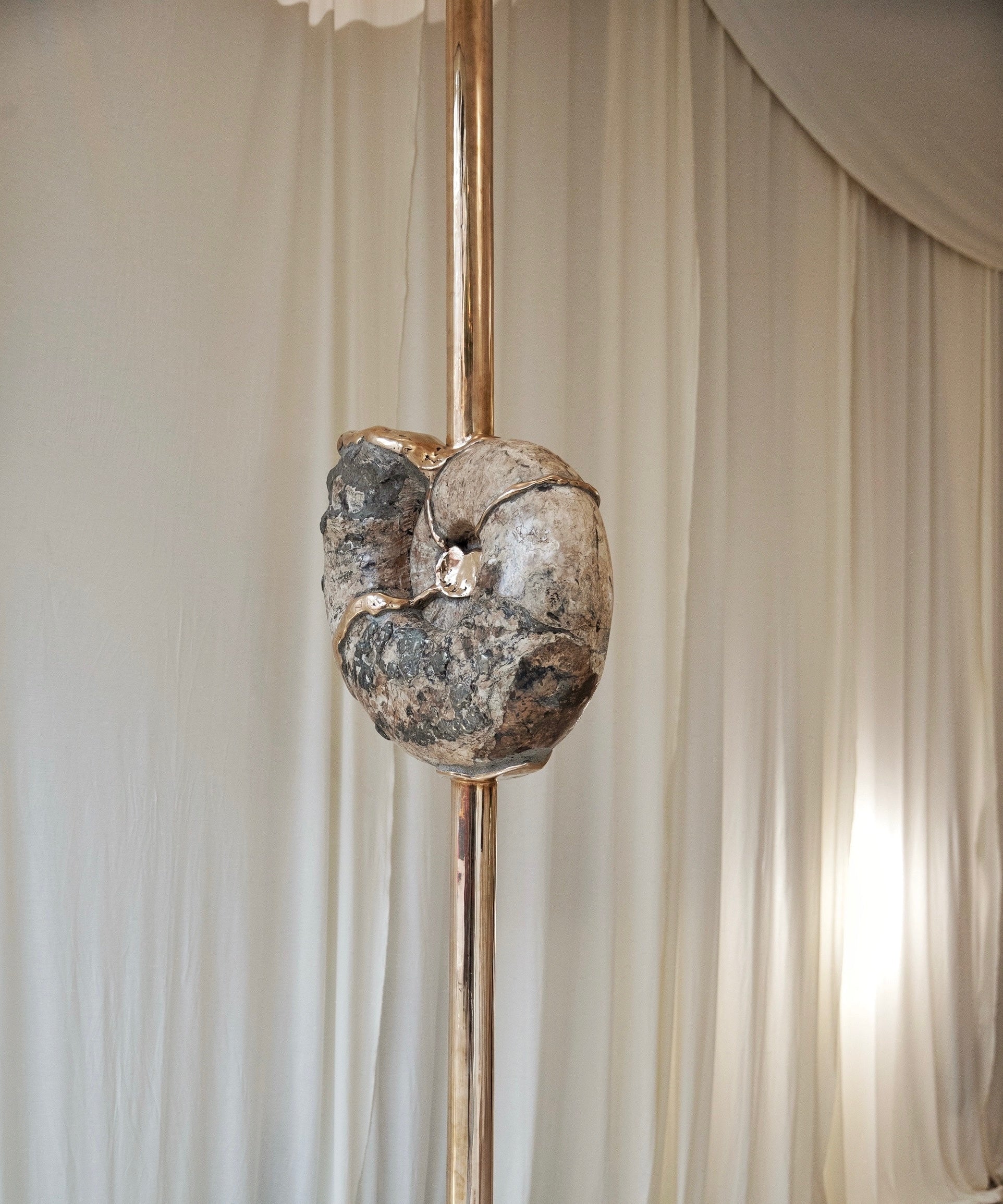 Ammonite with bronze Art - Wonders of Luxury