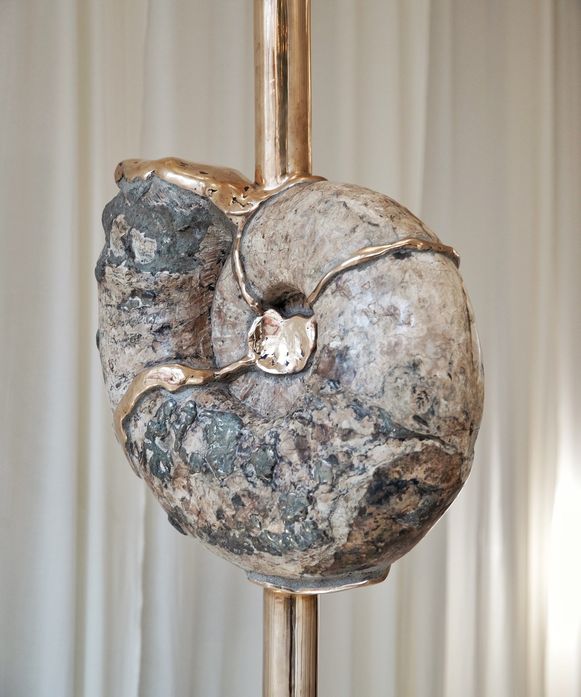Ammonite with bronze Art - Wonders of Luxury