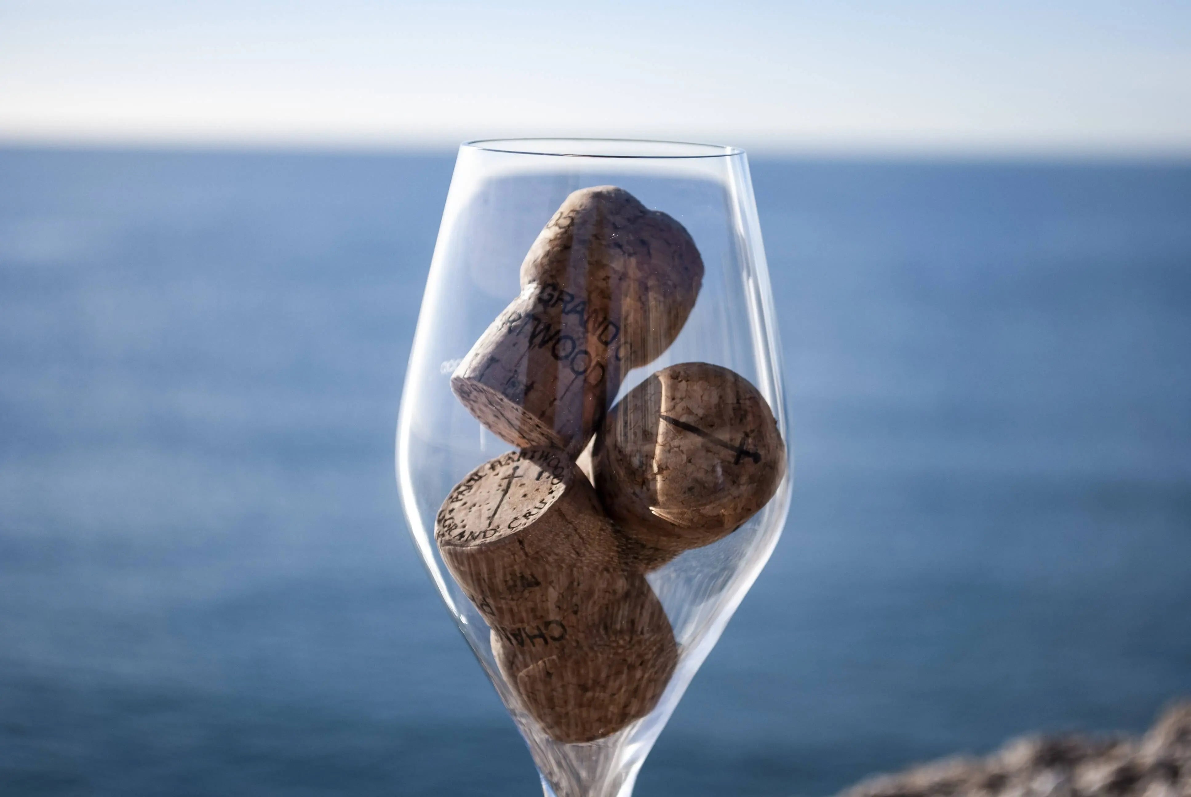 Champagne Glass 