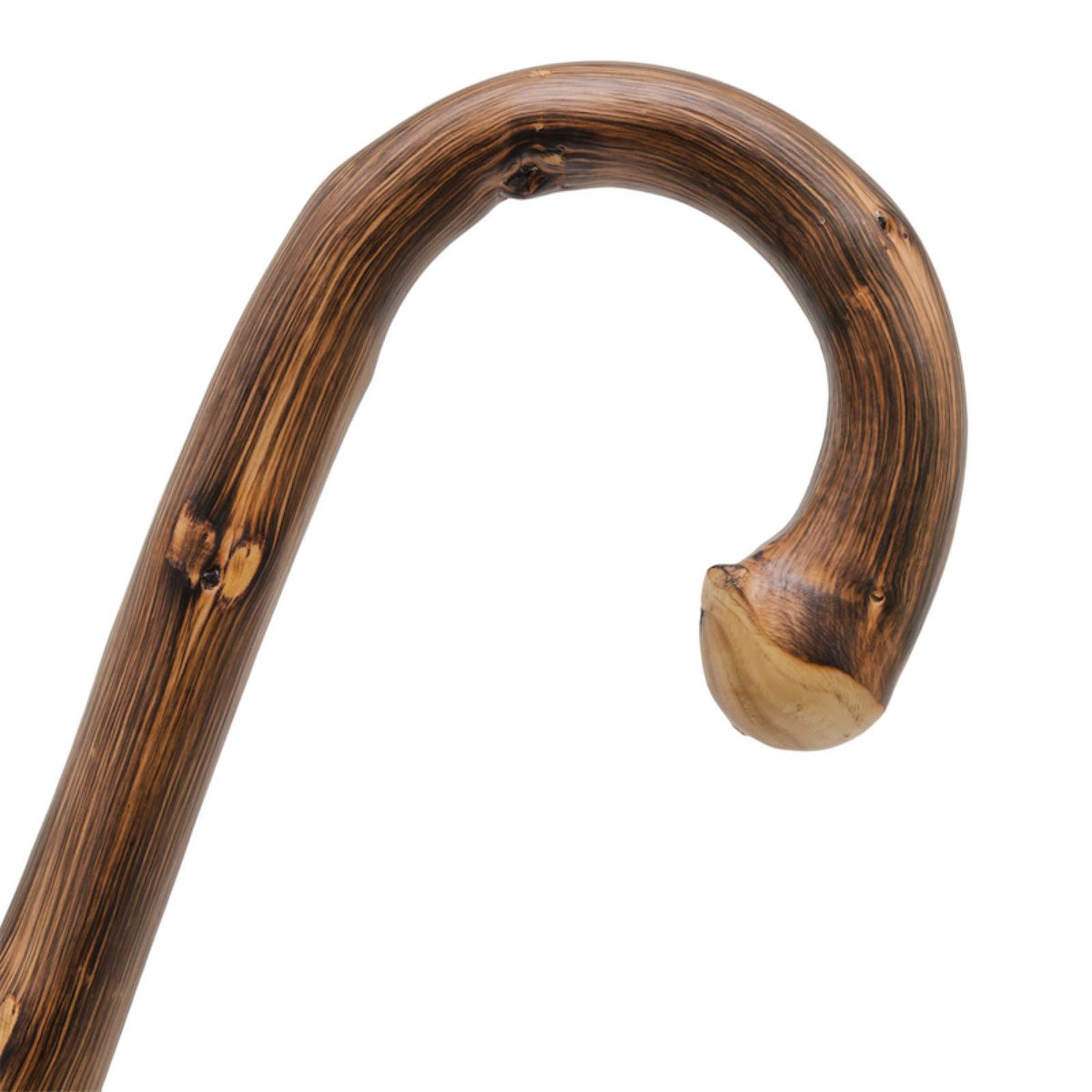 Chestnut Stick with Root Cane - Wonders of Luxury