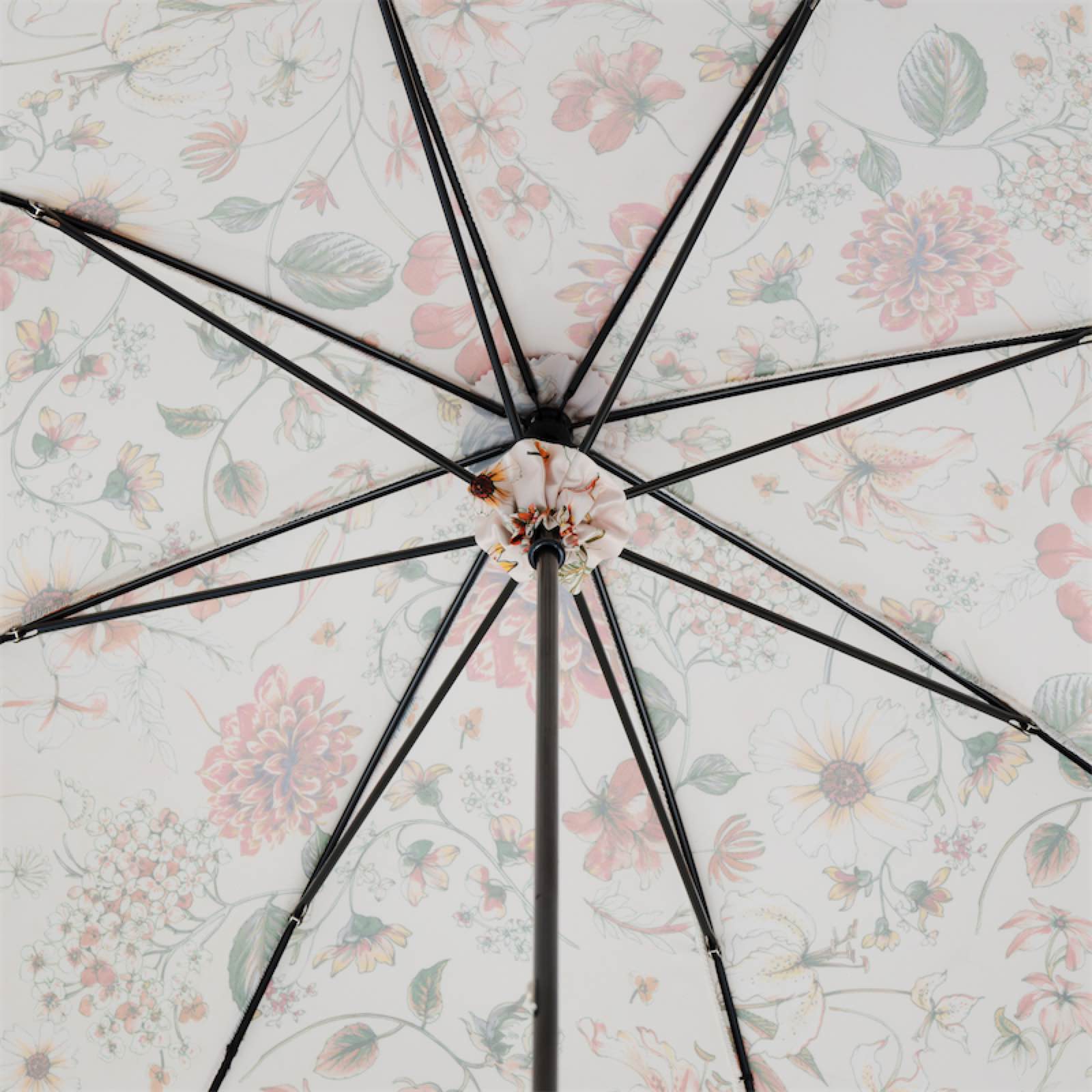 Flowered Parasol with Whangee Handle - Umbrella