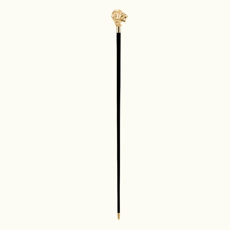Golden Lion Cane - Canes