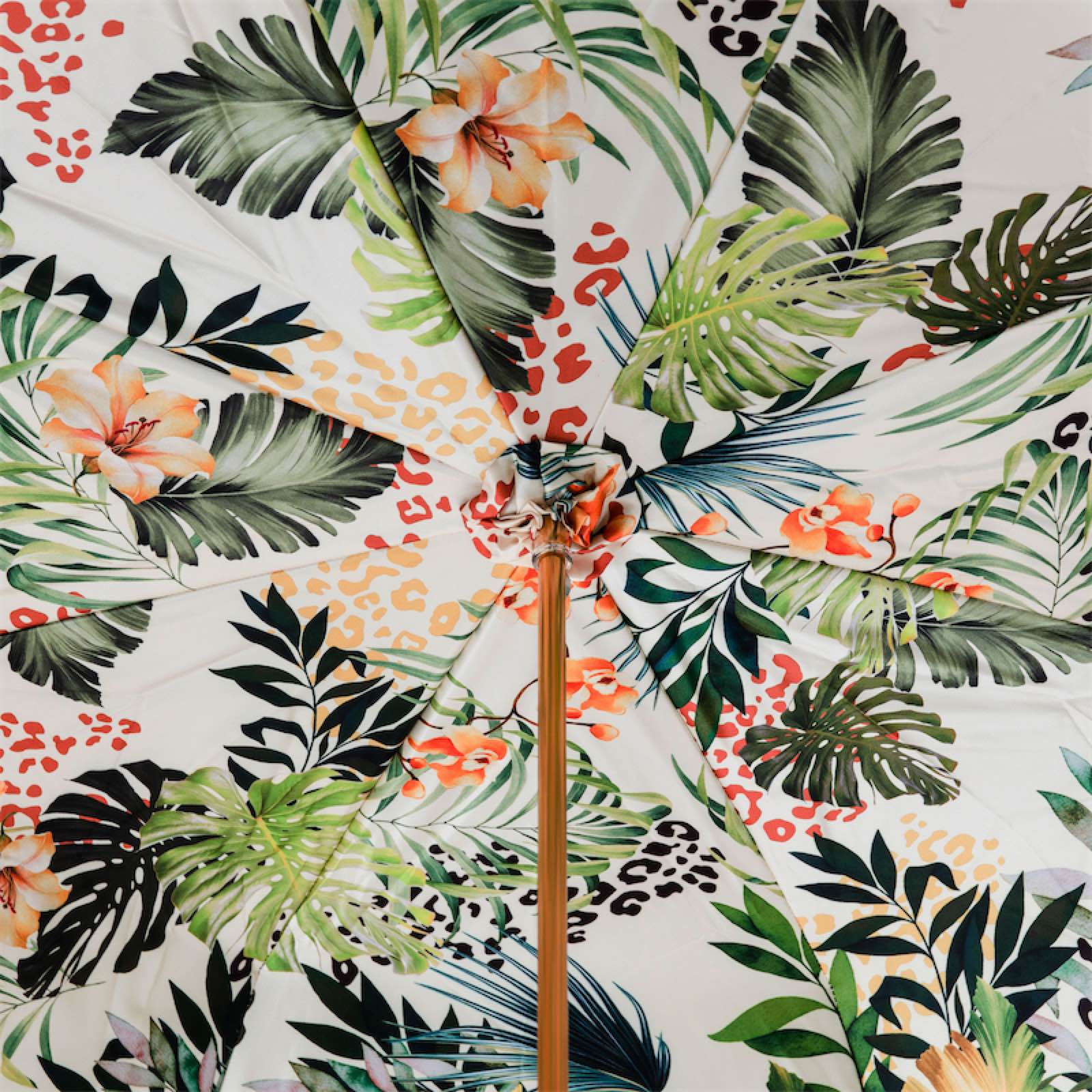 Sprinkhaan Paraplu - Paraplu