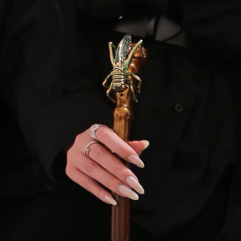 Sprinkhaan Paraplu - Paraplu