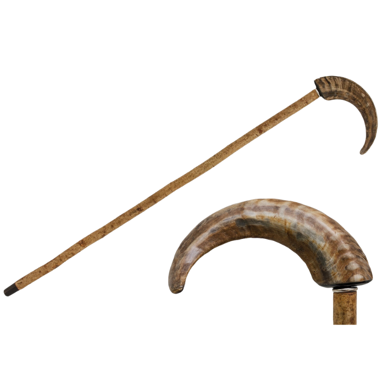 Mutton Horn Cane - Canes