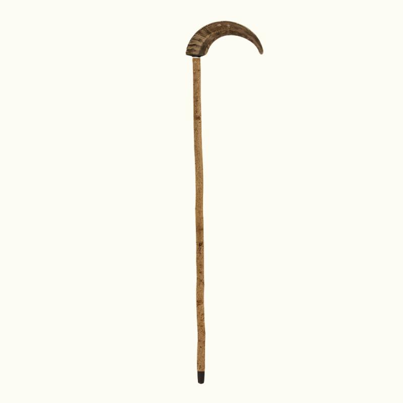 Mutton Horn Cane - Canes