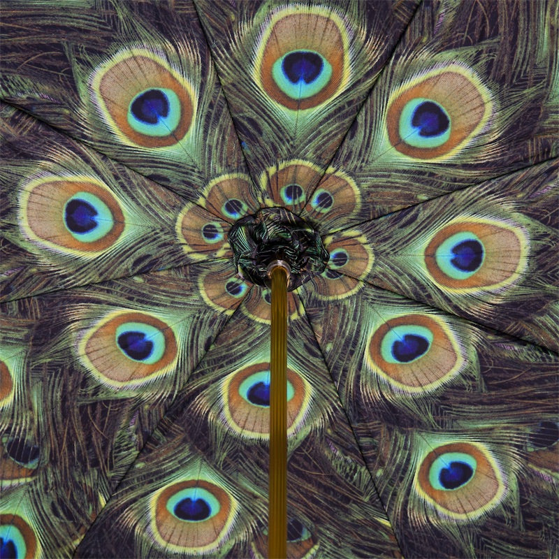 Zwarte paraplu met pauw binnenkant dubbele doek - Paraplu