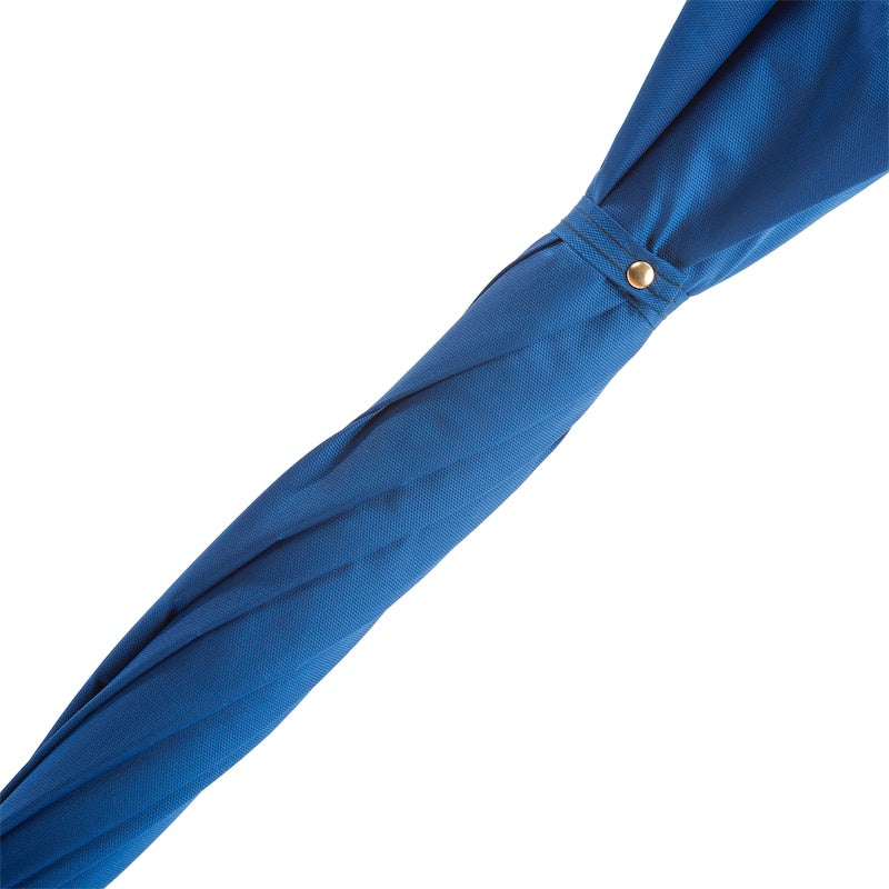 Blauwe paraplu met gouden leeuwenhandvat - Paraplu