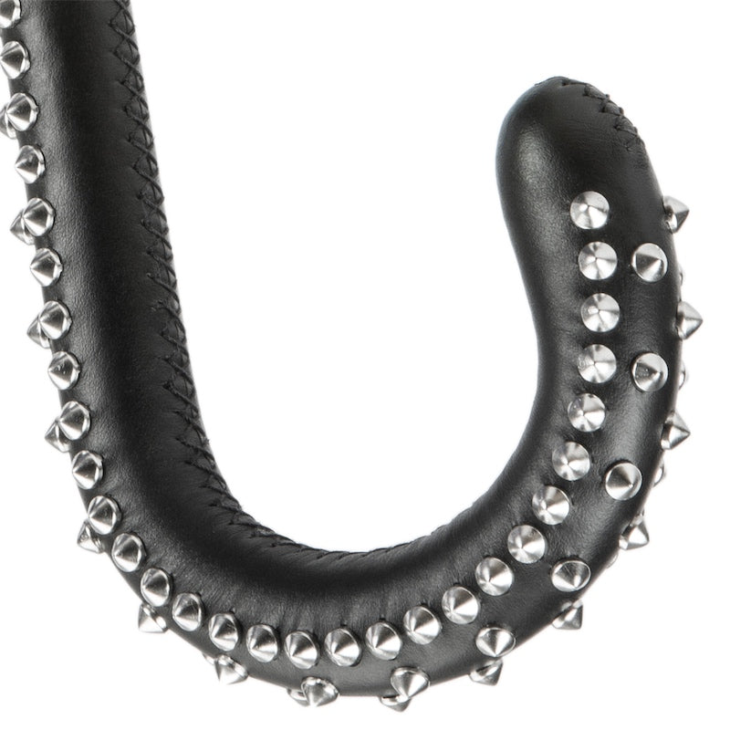 Designer Umbrella with Studs - Umbrella