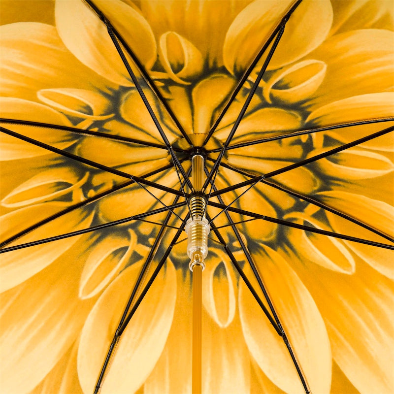 Gouden Dahlia Paraplu - Paraplu