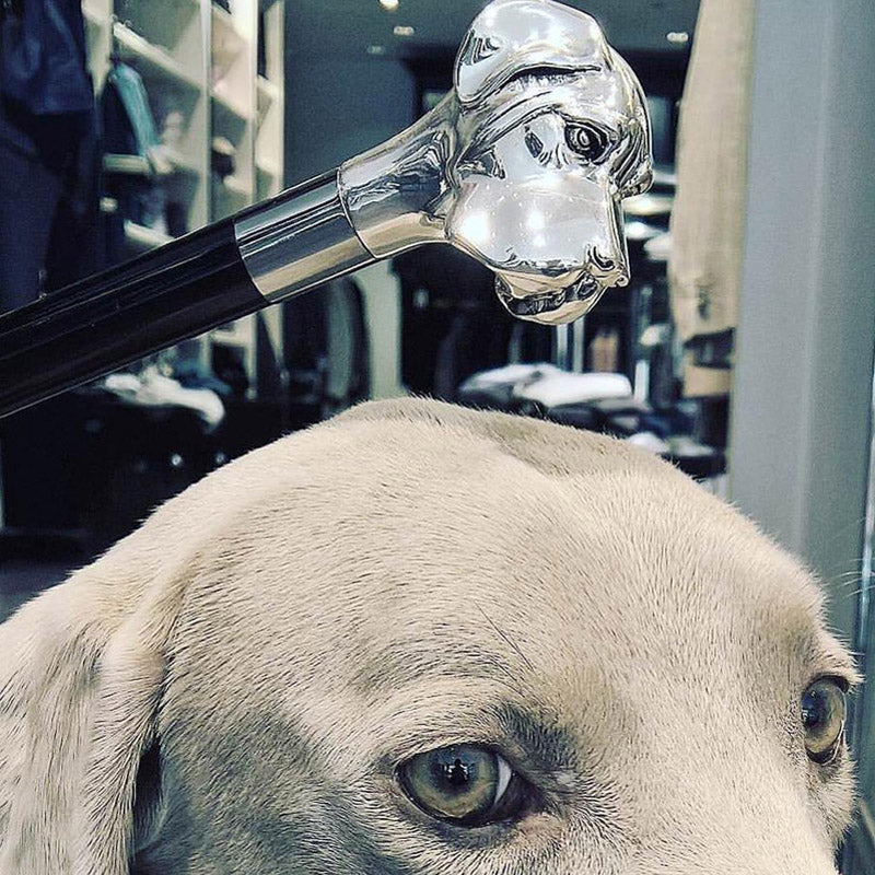 Labrador Paraplu - Paraplu