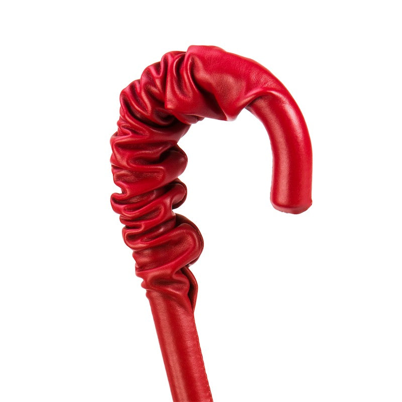 Rode luipaardprint paraplu dubbele doek - Paraplu