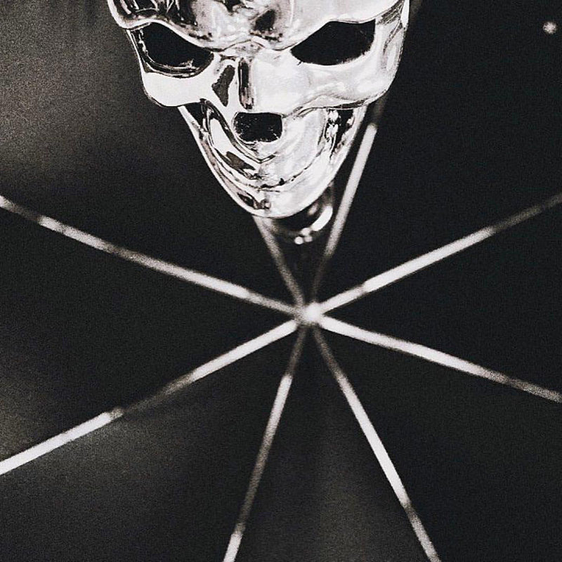 Silver Skull Umbrella - Umbrella