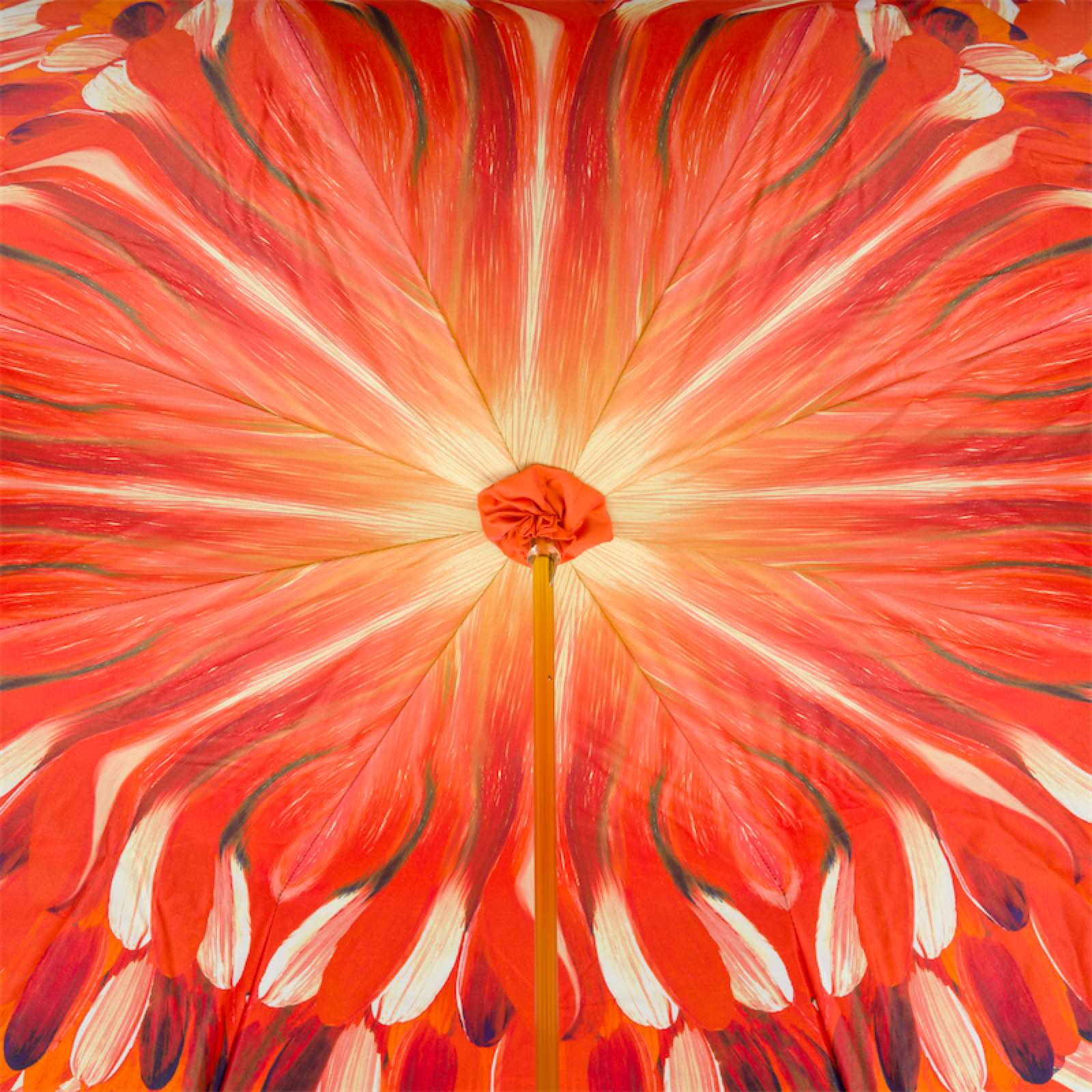 Toekan Paraplu - Paraplu