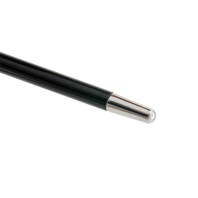 Silver Horse Cane - Canes