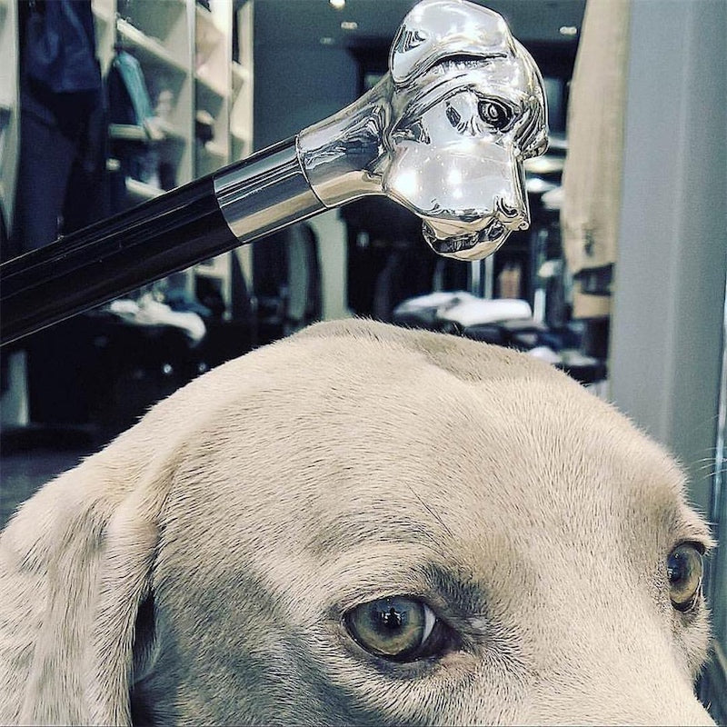Silver Labrador Cane - Canes