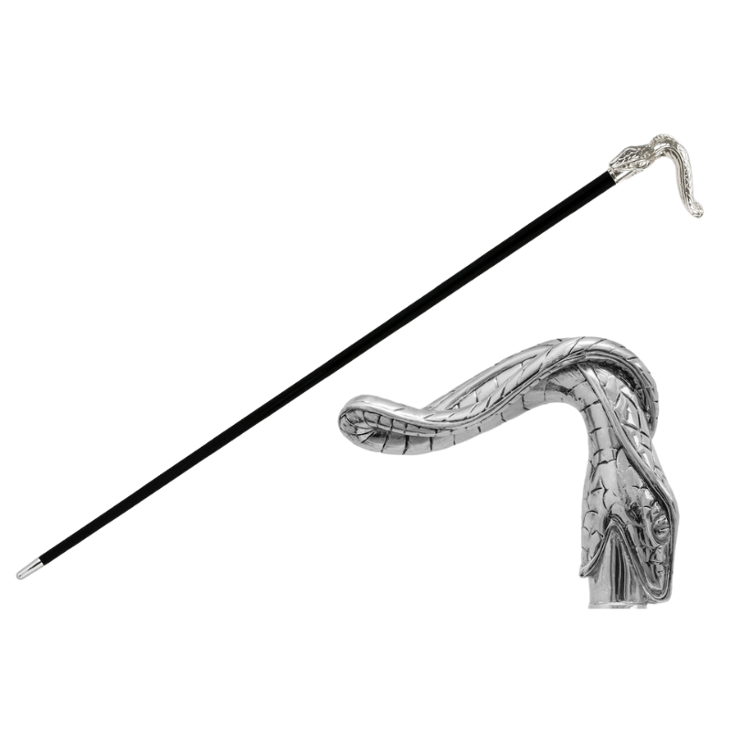 Snake Cane - Canes