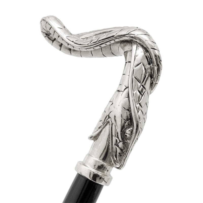 Snake Cane - Canes