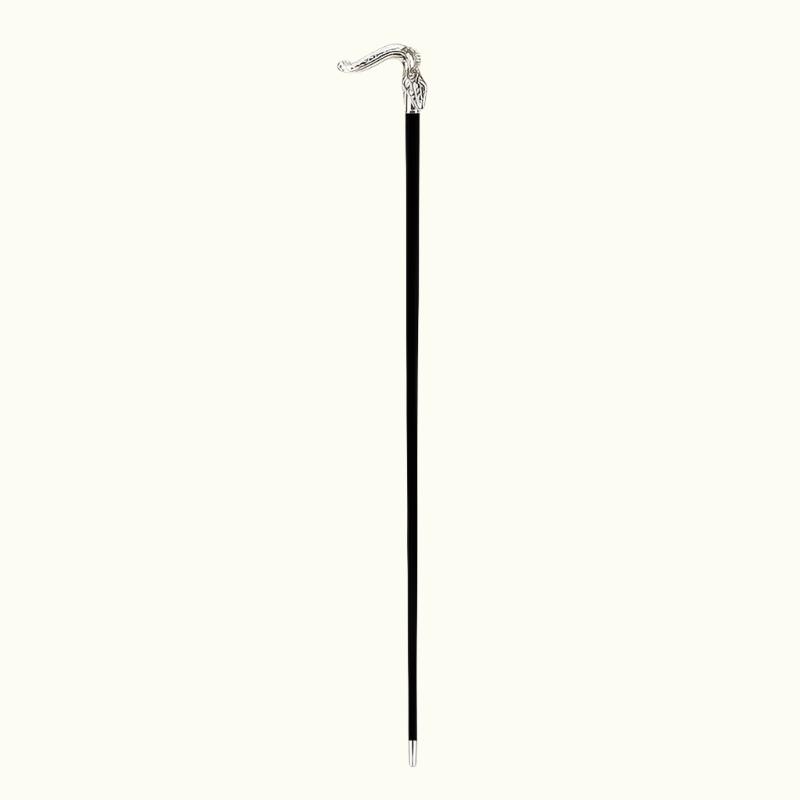 Snake Cane - Canes