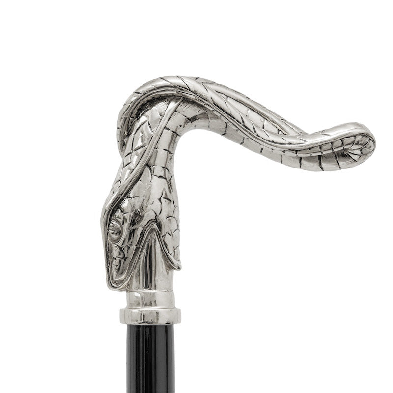 Snake Cane - Canes