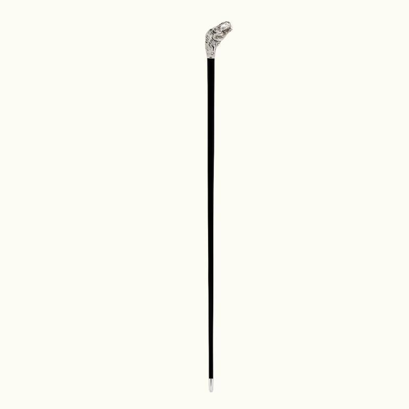 T-Rex Cane - Canes