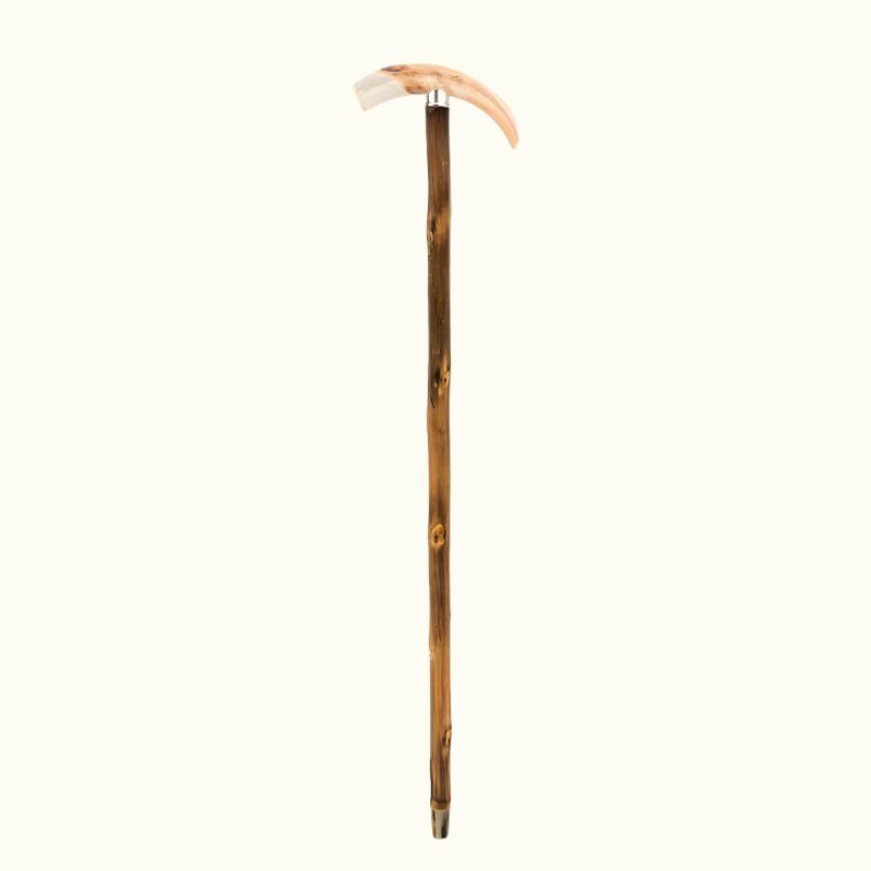 Warthog Tusk Cane - Canes