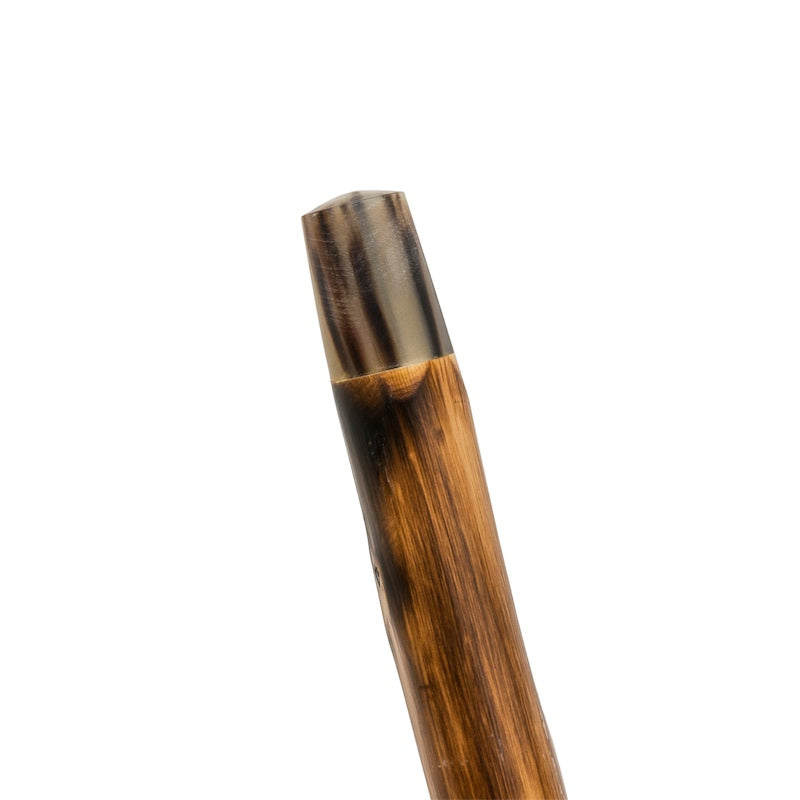 Warthog Tusk Cane - Canes