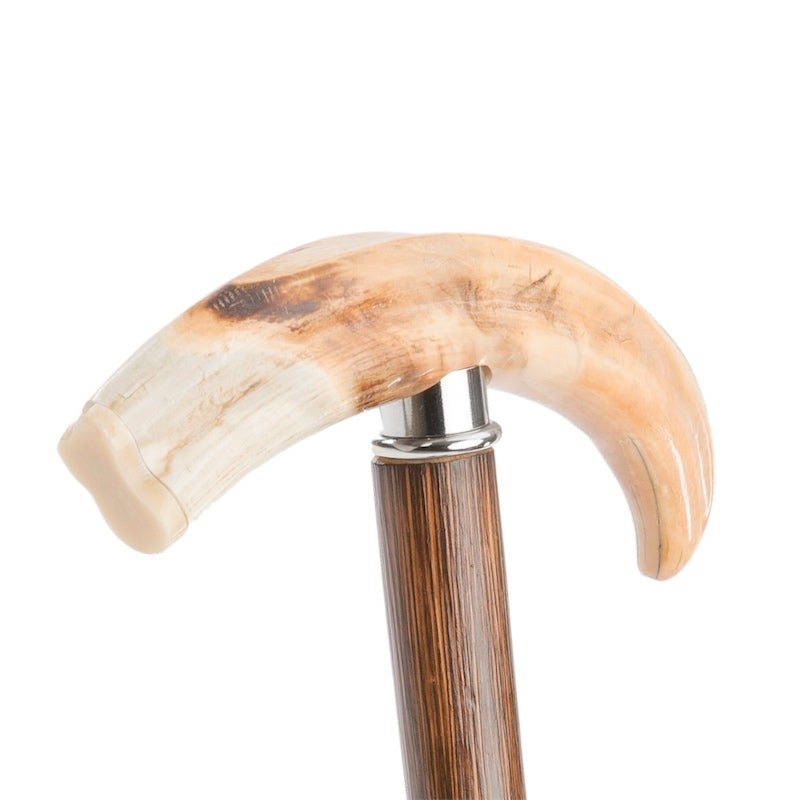 Warthog Tusk Cane - Canes