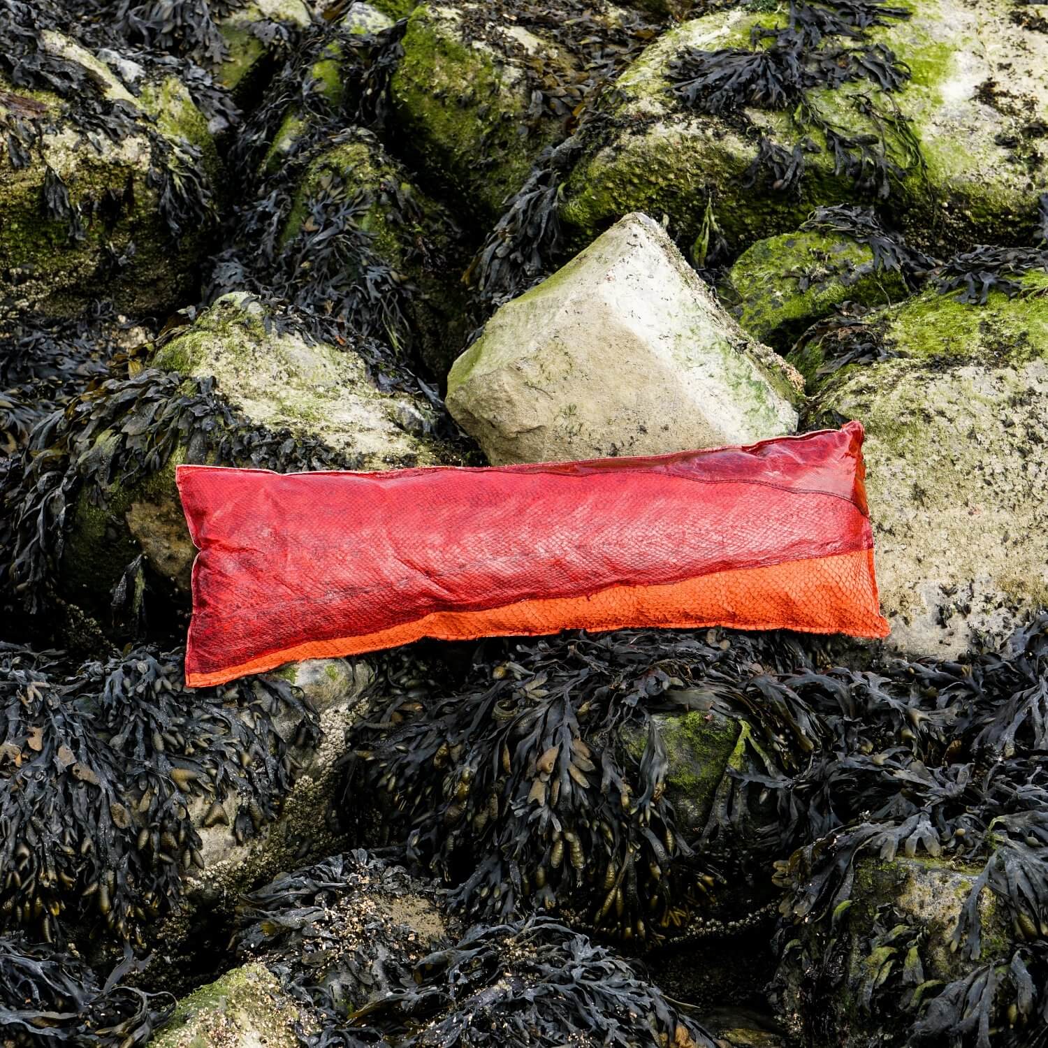 Salmon Codfish fish leather pillow by DeLeo One