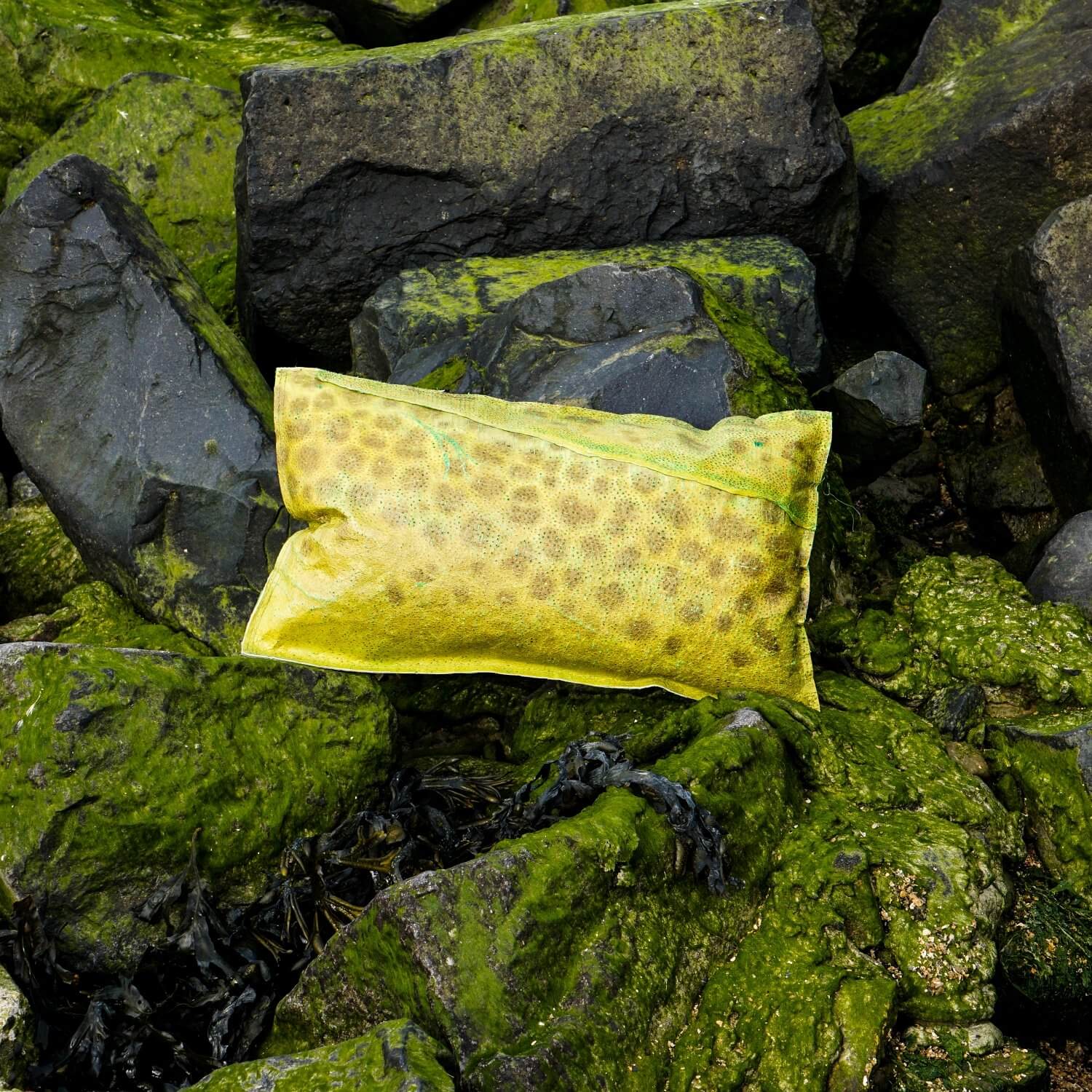 Fish Leather Pillow by Sierkussen Visleer