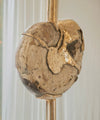Ammonite with bronze Art - Wonders of Luxury