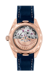 Omega Sea master Aqua Terra Wrist Watch